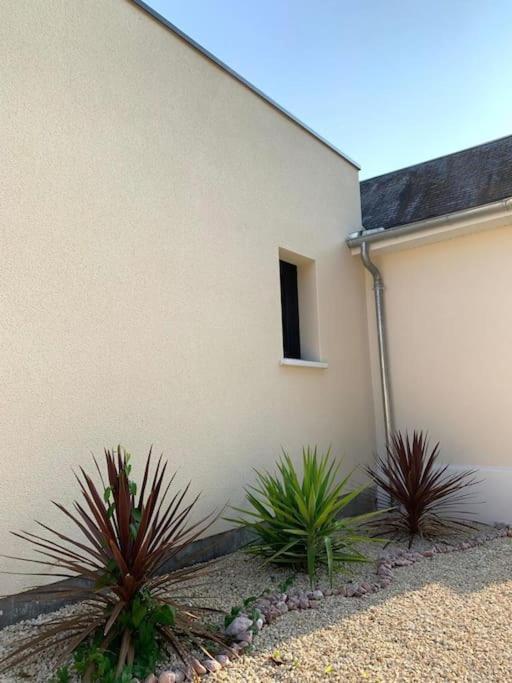 Villa Chic 3 Chambres ,2 Sdb Châtellerault Exteriér fotografie